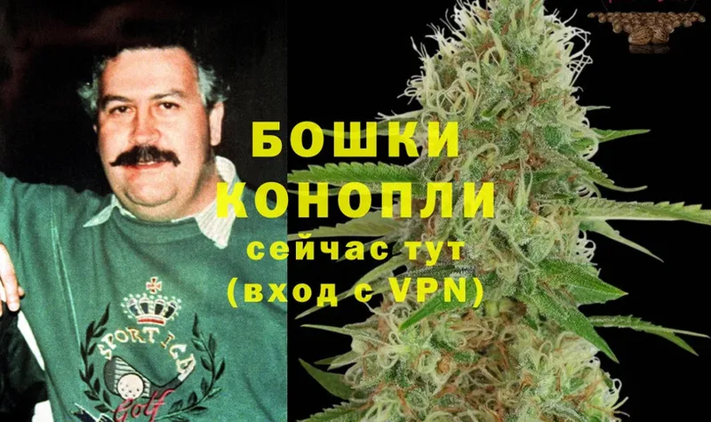 купить   Удомля  omg маркетплейс  Бошки марихуана Ganja 